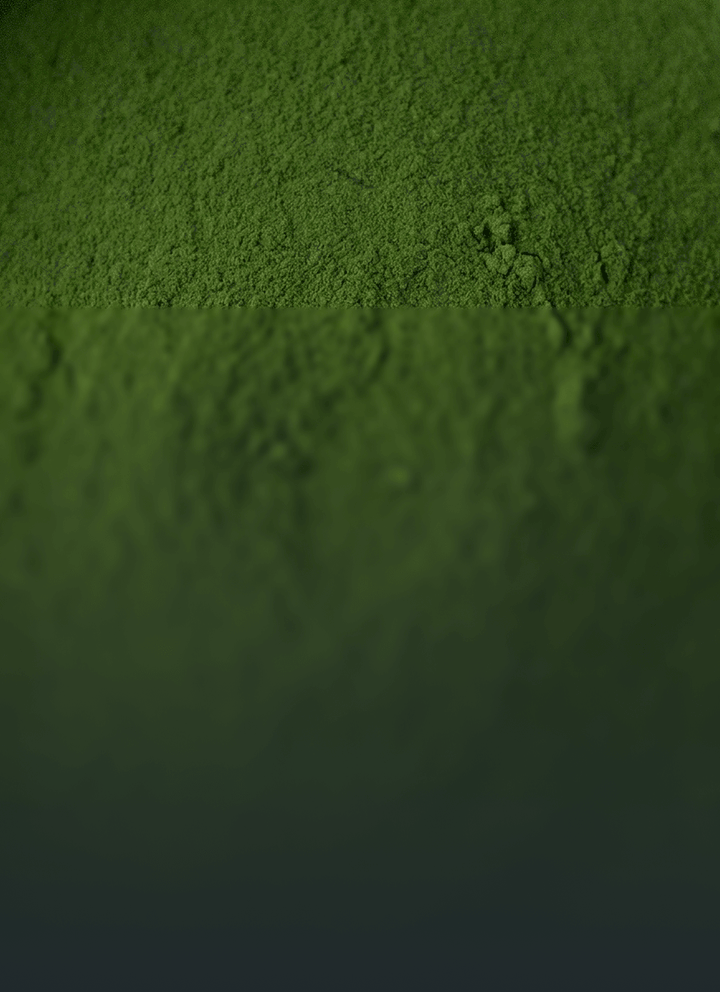 Green Tea